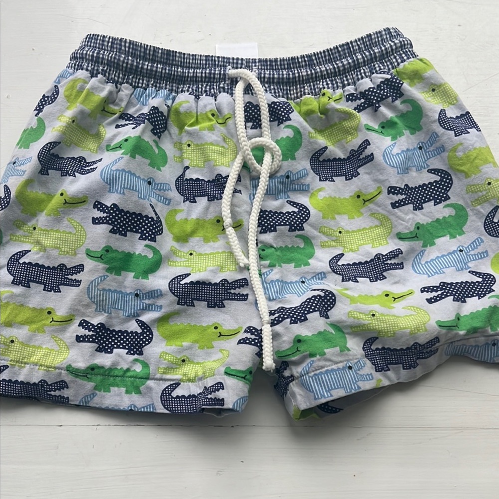 Kids Alligator Print Swim Trunks - Green and Blue